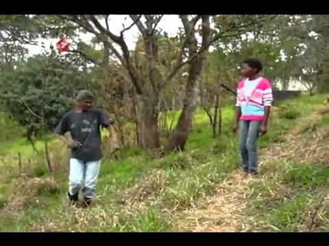 Exemplo de desenvolvimento sustentável em comunidade rural de Mogi das Cruzes