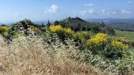 Alpes-de-Haute-Provence : Montfuron, du moyen âge à nos jours découvrez comment ce village s'est développé