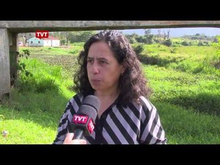 Manto verde no rio Tietê sinaliza alto nível de poluição
