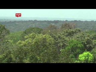 Mais alto observatório do clima do mundo fica na Amazonia brasileira
