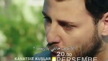 مسلسل طيور بلا أجنحة الحلقة 12 مترجم للعربية