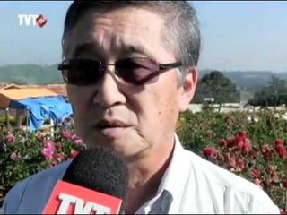 A festa da dália em Suzano acontece neste domingo