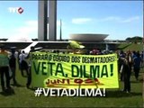 Manifestação em Brasília contra o novo Código Florestal
