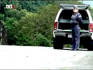 Pra Você Ver: Mata Atlântica - 3/3