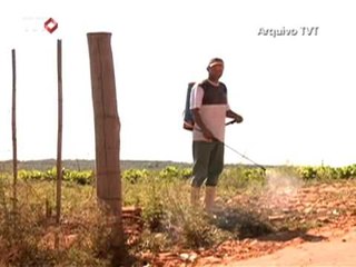 Rio+20: A dica do Seu Jornal é a participação na campanha contra o agrotóxico