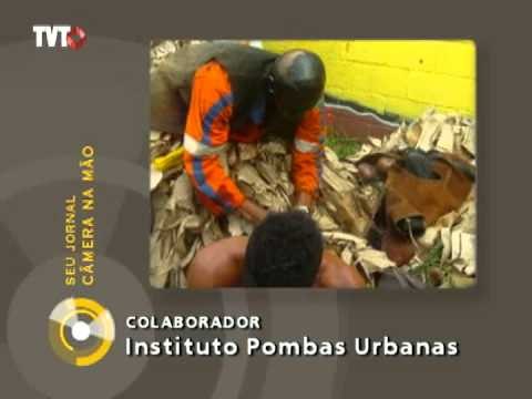 Jornalismo Colaborativo: peça teatral Nego Fugido conta a luta do negro pela liberdade