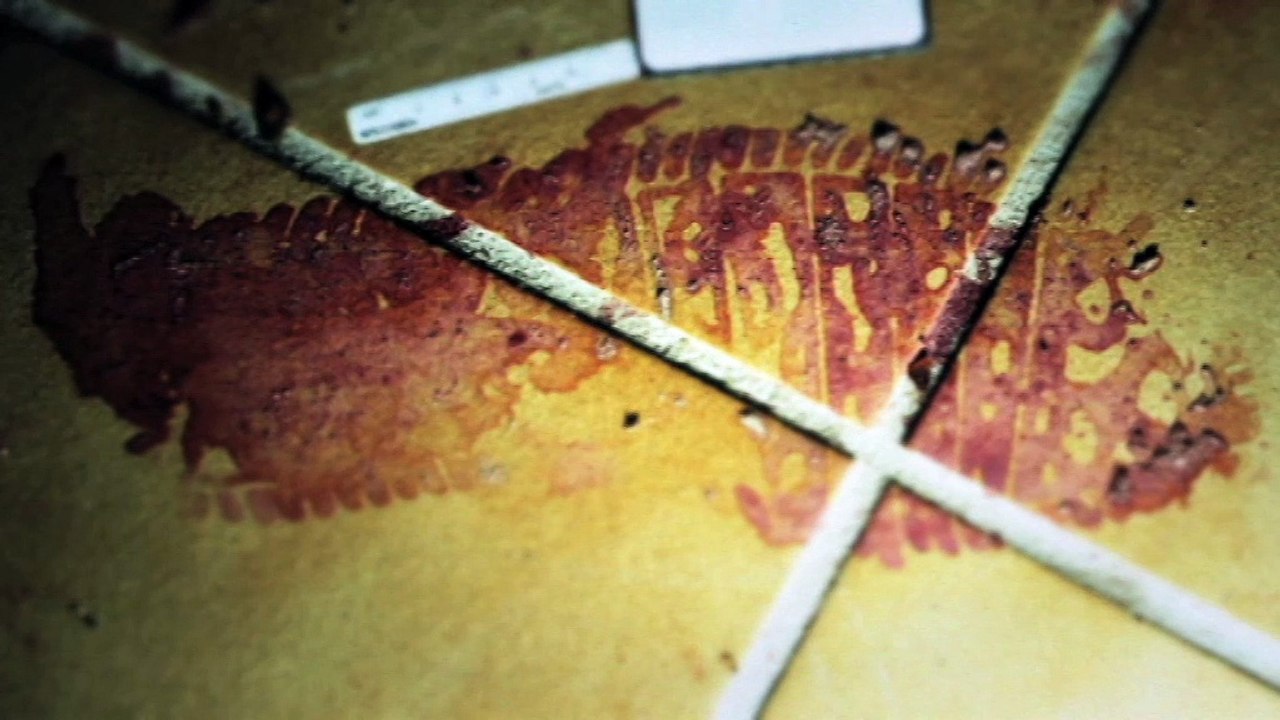 CBS Reality - Forensic Investigators S2