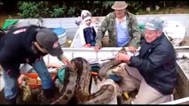 Balıkçılar dev yılanı böyle yakalıyor