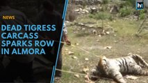 Carcass of dead tigress sparks row in Almora
