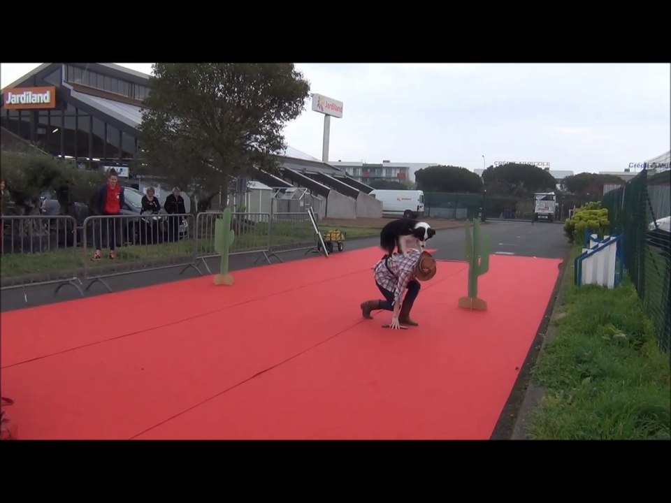 Démonstration obérythmée, Jardiland 2018