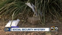 Hundreds of social security envelopes mysteriously sprawled out in Phoenix neighborhood