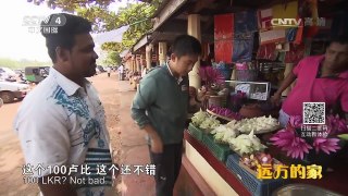 《远方的家》 20170315 一带一路（117）斯里兰卡 佛国行纪 | CCTV-4