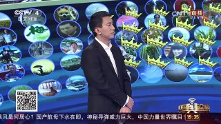[中国舆论场]中国就特朗普蔡英文通话向美严正交涉 | CCTV-4