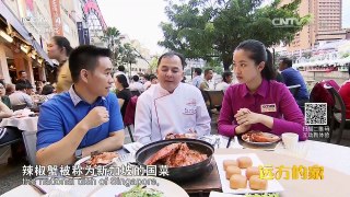 《远方的家》 20161104 一带一路（47）新加坡 缤纷美食在狮城 | CCTV-4