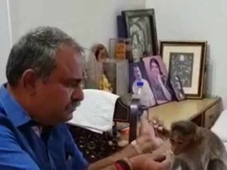 குரங்குடன் அமர்ந்து டிபன் சாப்பிட்டுள்ளார் கர்நாடக எம்எல்ஏ சுரேஷ் பாபு