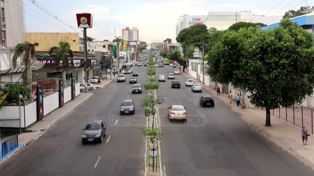 Ngrohja globale, bimët e kafshët në rrezik zhdukjeje - Top Channel Albania - News - Lajme