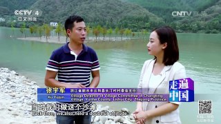《走遍中国》 20161121 “美丽经济”火起来 | CCTV-4