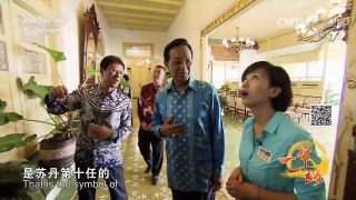 《远方的家》 20161114 一带一路（53）印度尼西亚 日惹：文化艺术之都 | CCTV-4