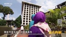 《远方的家》 20161108 一带一路（49）印度尼西亚 你好-雅加达 | CCTV-4