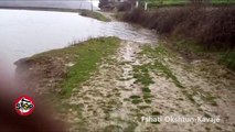 Stop - Fshati Okshtun-Kavajë, qytetari tregon rrugën, që duhet të kalojnë fëmijët e tij.