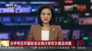 [中国新闻]法伊将召开国际会议商讨摩苏尔善后问题