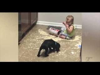 Next - Crazy - 15 Mars 2018 - Show - Vizion Plus