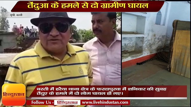 Wild animal attacked two injured in Basti