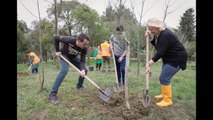 Të rinjtë e “Qytetit Studenti” dhe ambasada greke i bashkohen nismës për mbjelljen e pemëve