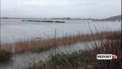 Report TV - Shkodër, përkeqësohet situata, sipërfaqja e përmbytur arrin në 2920 Ha tokë