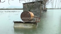 Report TV - Situata nga përmbytjet në Shkodër, 157 shtepi te rrethuara nga uji, 9 te permbytura