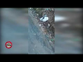 Stop - Rruga e thesarit, kur ujrat e zeza bashkohen me mbetjet, prodhojnë...thesar?!