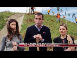 Veliaj: Mbollëm 100 mijë pemë, aksioni do vazhdojë - News, Lajme - Vizion Plus