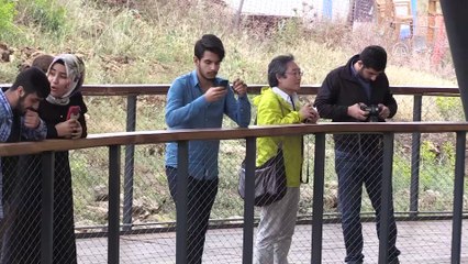 Göbeklitepe Japon şairlere 'ilham kaynağı' oldu