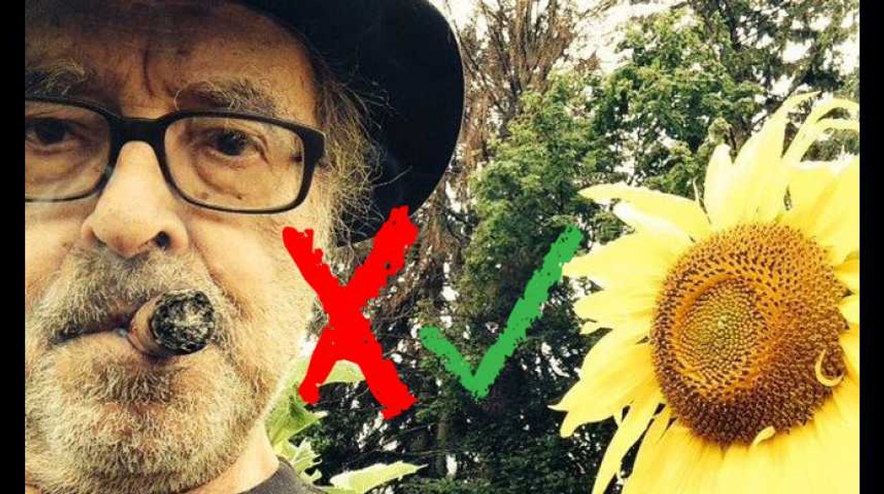 Festival de Cannes: "Le livre d'image" de Godard réussit-il le test de Bechdel?