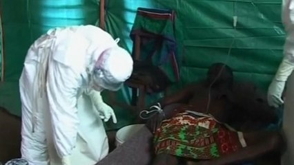 OMS prepara-se para "pior cenário" do Ébola na República Democrática do Congo