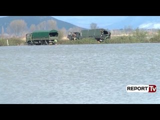 Report TV - Dajçi dhe mijra hektarë nën ujë në Shkodër