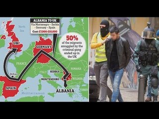 Ora News - Shqiptaro-irlandezi, bosi i trafikimit të 1 mijë shqiptarëve në SHBA e Kanada