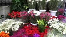 Çiçekçilerin 'Anneler Günü' telaşı başladı