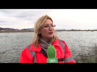 Përmbytja rrezikon bagëtitë; Në Shkodër fermerët s’kanë më ushqime - Top Channel Albania