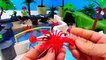 Learn Sea Animal Names Colours Shark Toys for Kids Children Toddlers Learning Colours Water Animals