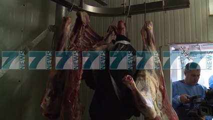 BLLOKOHET NE KRUJE MISH PA CERTIFIKATE - News, Lajme - Kanali 7