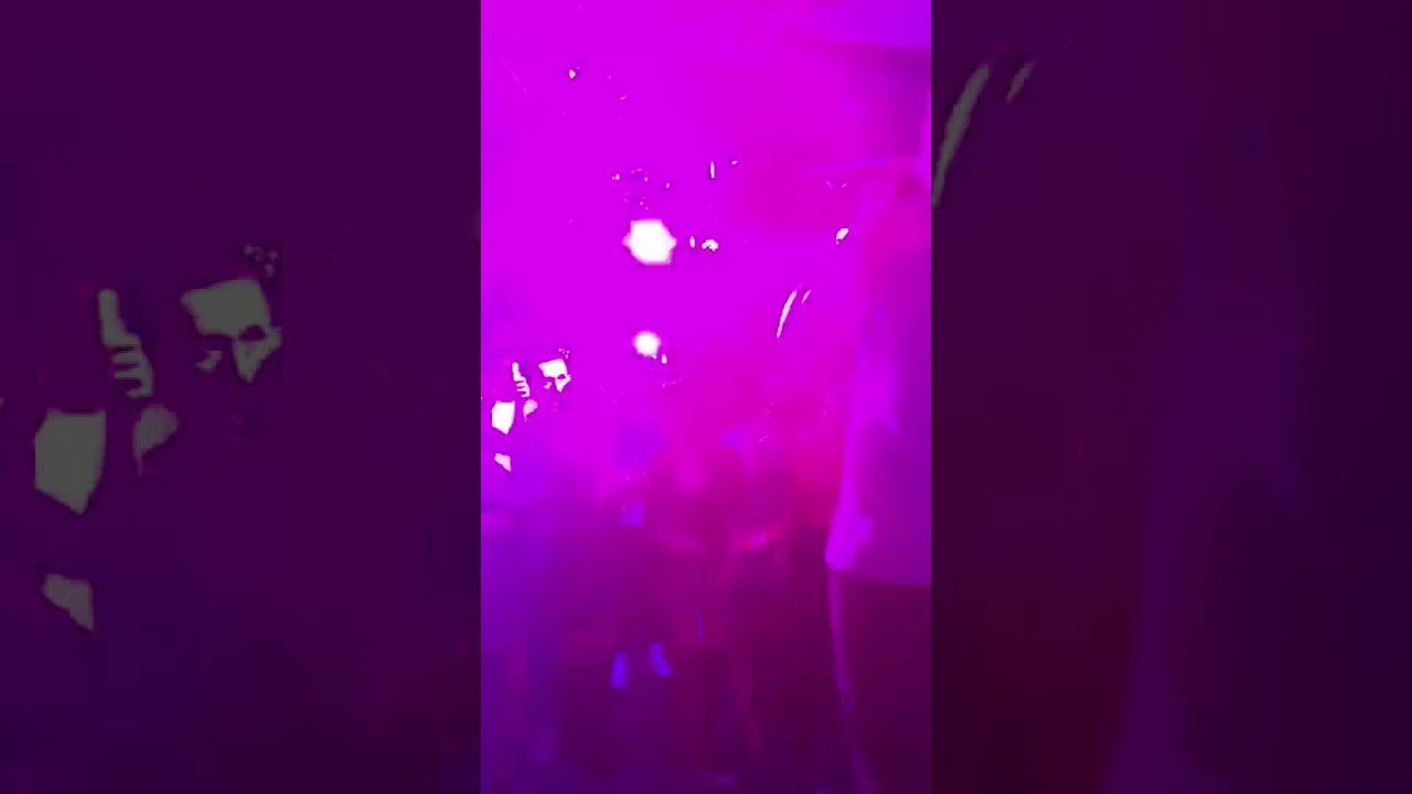 show biz live Sabiani&Marseli