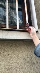 21 Apr 2018 - Adam Anderson via Instagram Story