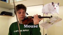 Il imite des cris d'animaux avec un violon