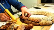Adventskranz aus Tannenzapfen selber machen