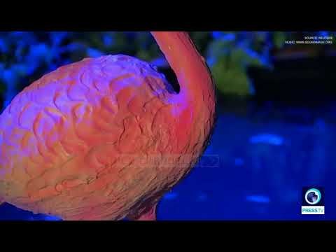 Çelet ekspozita më e veçantë në Belgjikë - Top Channel Albania - News - Lajme