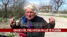 GRUDË E RE, PREJ VITESH PA UJË TË PIJSHËM