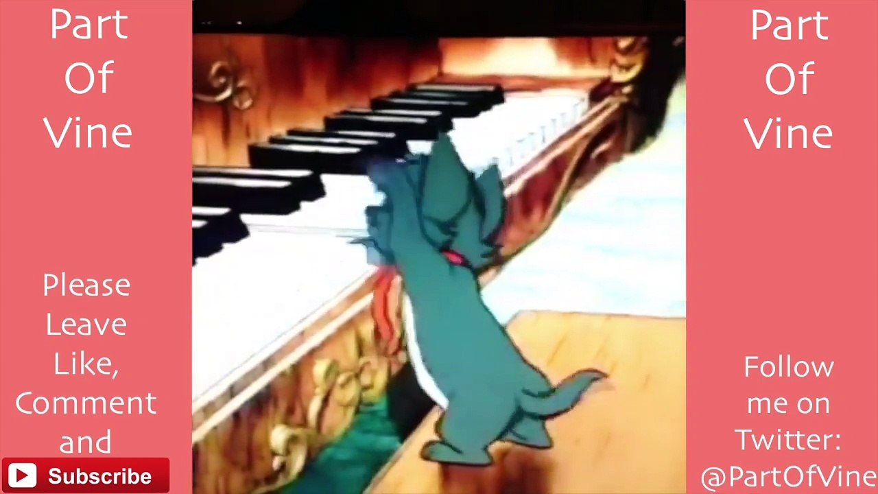 Funny Cats 2015 - Vine Compilation - BEST VINES ✔️