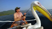 Il apprend à son pelican apprivoisé à pecher