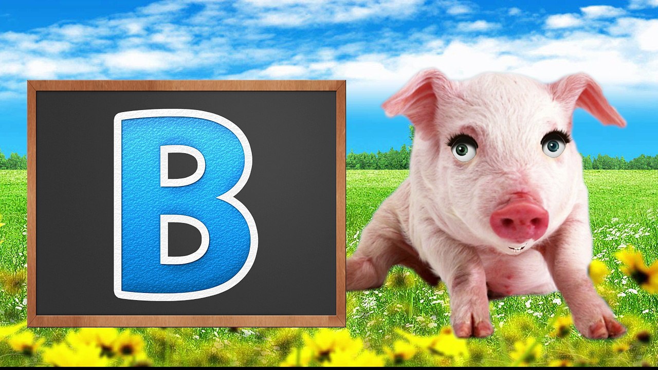 ABC Song For Children Pre k